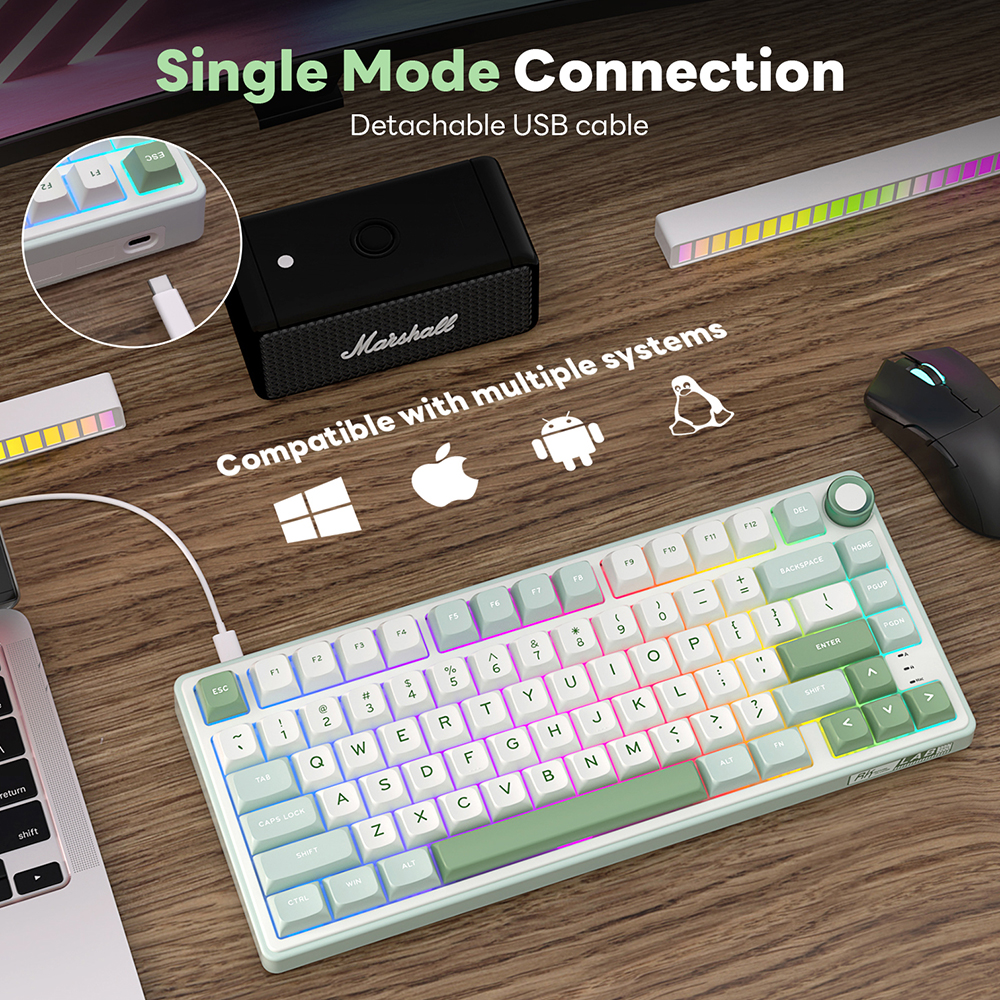 RK Royal Kludge R75 가스켓 유선 기계식 - Gaming Keyboard Thocky 리뷰 및 가격